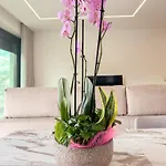 Apartamento Flora Marco de Canavezes