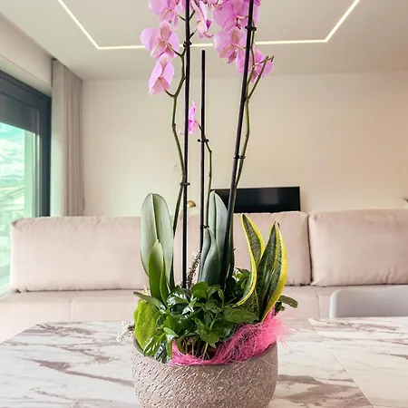 Appartement Flora Marco de Canavezes