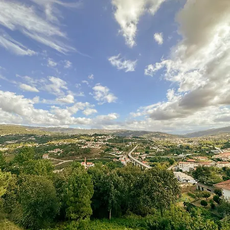 Flora Marco de Canavezes