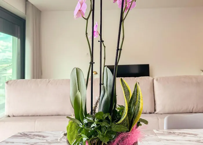 Lägenhet Flora Marco de Canavezes